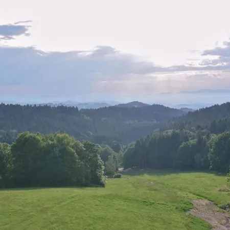 Hans Apartament Waldkirchen